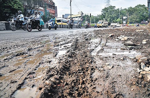 Elephant Gate Road P Jawahar
