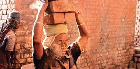 Sources said brick kilns have been set up on fertile agriculture land in gross violation of statutory norms and conditions of the district administration.