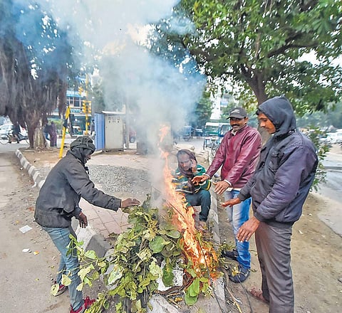 People warm themselves by lighting a fire on a road-divider as temperature dipped further in New Delhi on Tuesday. (Photo| PTI)