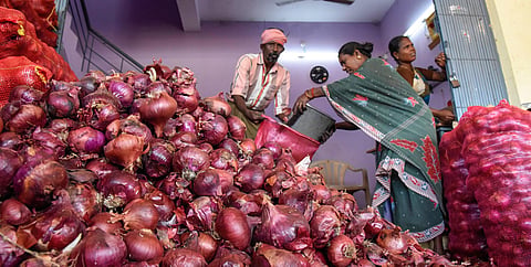 Retail onion prices are ruling at an average Rs 100 per kg in major cities. (Photo | M K Ashok Kumar, EPS)