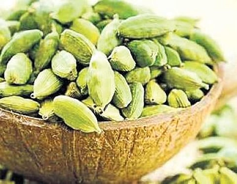 Christmas turns merrier for cardamom farmers, per kg price notches to Rs 3,500