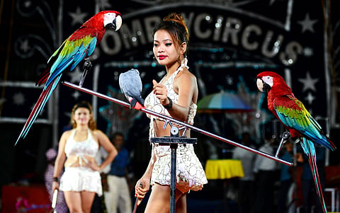 Great Bombay Circus, which is back in Chennai after four years. (Photo | Debadatta Mallick, EPS)