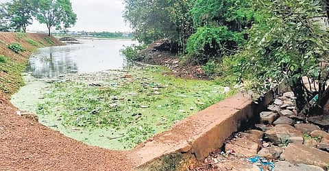 A mixture of sewage and rainwater entering the Chitlapakkam lake | Express