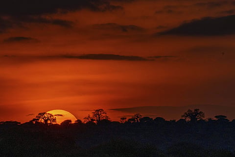 Climate change has affected every part of the world and it's likely to get worse. (Photo| AP)