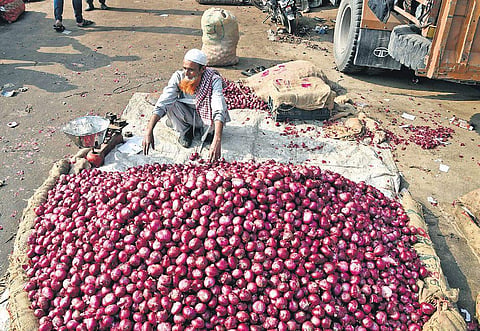 Onions (File Photo | EPS)