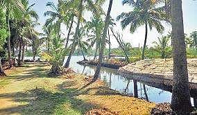 The picturesque Kumbalangi Deena Theresa
