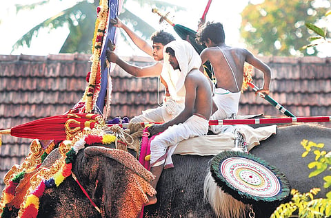 The sizzling heat being experienced in the state has been scorching both humans and animals. A mahout, perched atop an elephant carrying thidambu, shields himself from the baking sun as the jumbo proceeds through streets in Kochi on Sunday | A Sanesh