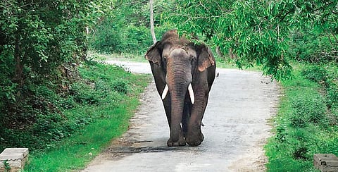 Image used for representational purpose only