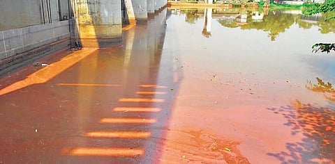 Industrial effluents mixed in Periyar river.