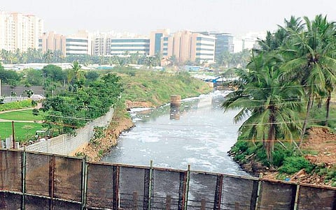 Varthur lake
