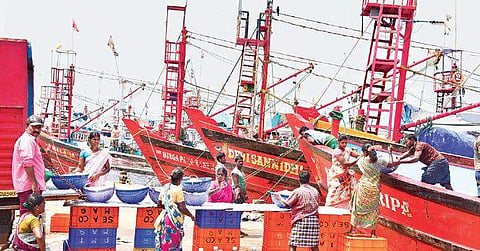 Most of the mechanised fishing in the Karnataka coast depends on migrant fishermen from other states | Rajesh Shetty Ballalbagh