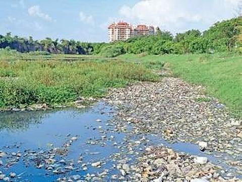 Image used for representational purpose only (File Photo | EPS)