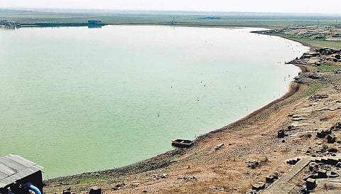 Osman Sagar