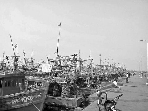 Fishing vessels anchored at fishing harbour in Paradip | EXPRESS