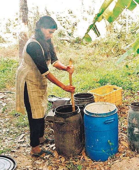 Maheswari making Fertifish