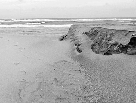 Fear surges along Ganjam coast as sea creeps in
