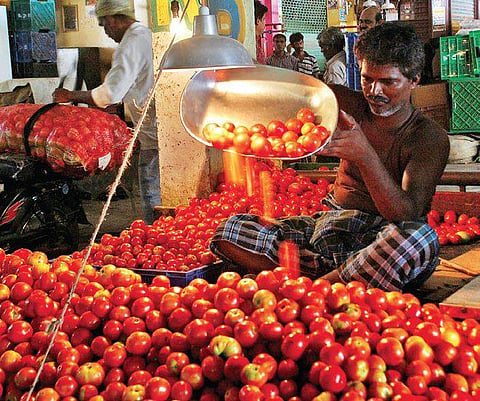 Koyambedu receives only 40 truckloads of tomatoes Ashwin Prasath