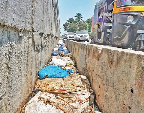 The poultry waste in Kazhakoottam bypass area Nandakumar H V