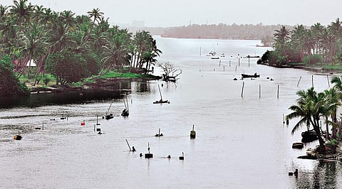 A view of Kadinamkulam backwater at Perumathur B P Deepu