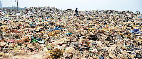 Image used for representational purposes only (File photo)