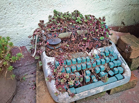 This summer bring Zen in your urban gardens