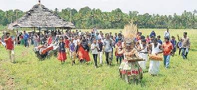 The Kadamban Moothan, a cultural icon, taking the students to the field, initiating them to the different aspects of farming through an organic theatre structured by WIWA B P Deepu