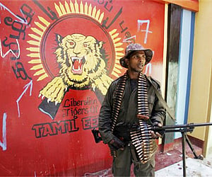 Sri Lankan Army soldier stands guard in an abandoned building, as the logo of LTTE is seen in the background, in Mullaittivu (File | AP)