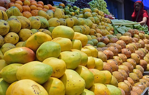 Image used for representational purpose only (File Photo | BP Deepu/EPS)
