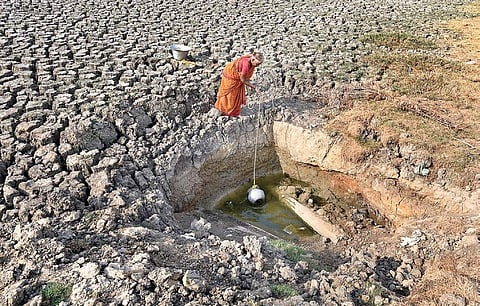 A woman drawing water for her livestock from a small well inside the dry Korattur lake; (below) two men looking for fish in the near-dry Thiruneermalai lake, which has been affected severely by pollution | Martin Louis