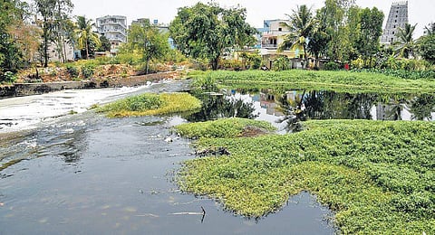 The residents of Varthur and Bellandur appealed for a review of the rejuvenation status of Varthur and Bellandur lakes