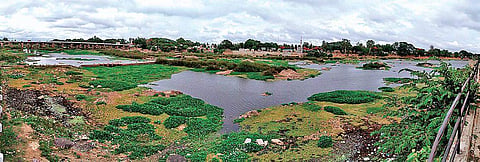 The state govt plans to supply 18 tmcft of water from Tunga (in picture) and Bhadra rivers | Shimoga Nandan