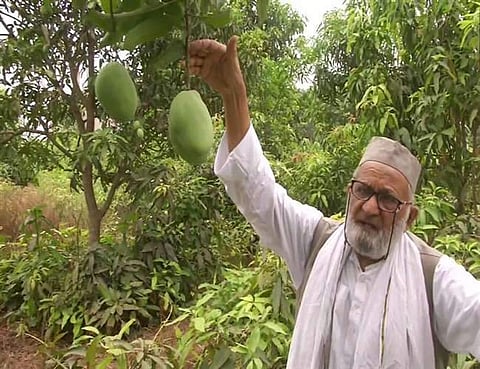Haji Kalimullah Khan in his orchard. (Photo | EPS)
