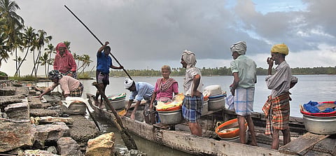 A group of elderly fish vendors who approach Nerukadavu near Thiruvananthapuram through Kadinamkulam backwaters find it tough to make it to the land. Around 700 people, including school students, cross to Nerukadavu in country boats daily. The authorities