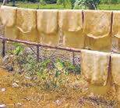 Rubber farmers float company to make tyres to counter price slump