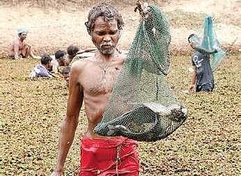 A farmer of Kattur village in Tiruvallur district with his ‘catch’. (Photo | Nigamanth P, EPS)
