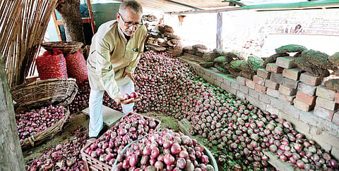 Kuldeep Singh of Jaunti village shows the yield of organic onions from his farm