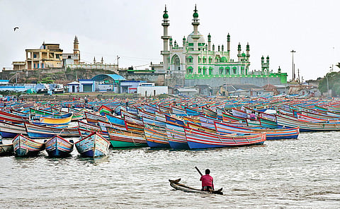 When invaders glean off our marine wealth
