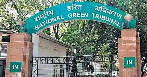 NGT slaps Rs 45 Cr fine on NHAI over environmental violations in Delhi-Mumbai Expressway construction