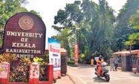 Fruit trees to replace overgrown wilderness on Kariavattom campus