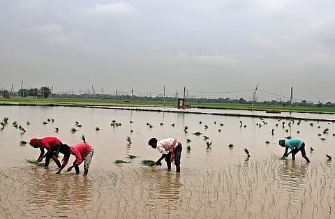Shrinking fields dying yields