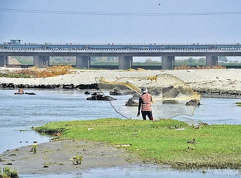A view of 1,000 acre Yamuna River floodplain | Naveen Kumar