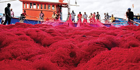 Fishermen preparing nets for big catch at Thoppumpaddy Harbour. With trawling ban coming to an end on Wednesday midnight, boats and trawlers are readying to venture into the sea. (Photo | Albin Mathew, EPS)