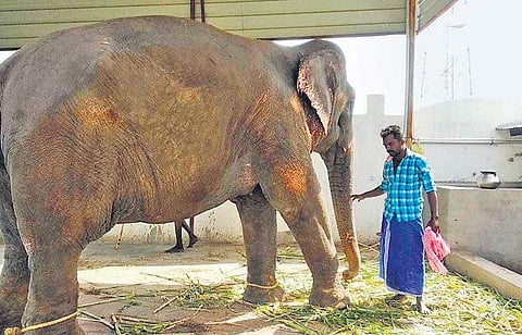 The decision to shift Malachi to rehab centre has been put on hold | express