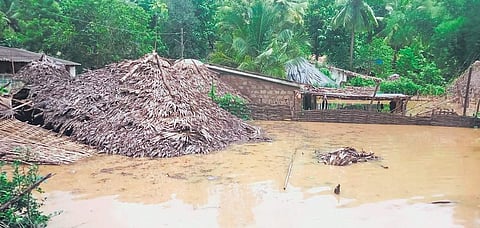 The Toyyeru village under Devipatnam mandal in East Godavari district lies submerged in rainwater on Wednesday I Express
