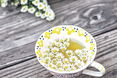 The tea that heals