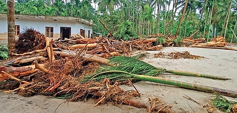 Sand and tree logs deposited after flood fury on agricultural land and around a house at Sarpahitil in Charmadi in Dakshina Kannada. | (Shreyas HS | EPS)