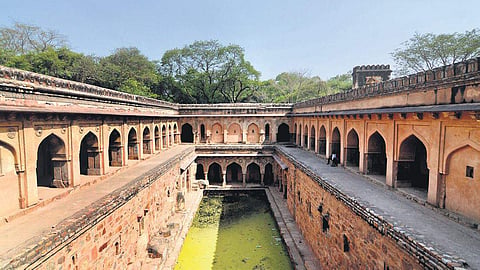 Rajon Ki Baoli in Mehrauli Archaeological Park, is one of the five sites whose surrounding land is sought by the ASI | ( Photo | EPS )