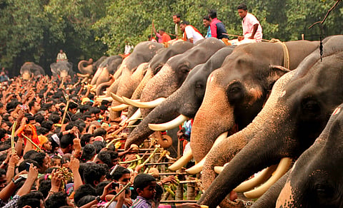 Representational Image. (File | EPS)