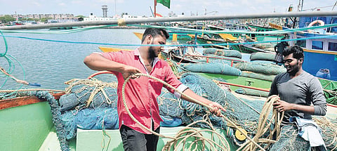 The fishermen's day begins at 2 am and ends at 11 pm | D Sampathkumar