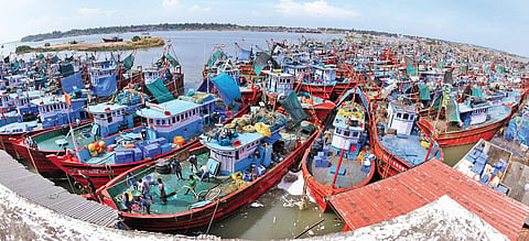 Parked boats dot the harbour in Mangaluru